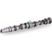 INA | Nockenwelle | 428 0169 10 INA | Nockenwelle | 428 0169 10