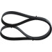 1 987 946 251 Keilrippenriemen