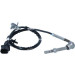 707302 Sensor, Abgastemperatur EASY FIT