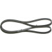 1 987 946 057 Keilrippenriemen