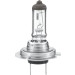 8GH 007 157-231 Glühlampe, Nebelscheinwerfer HEAVY DUTY EXPERT