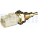 Delphi | Sensor, Kühlmitteltemperatur | TS10289 Delphi | Sensor, Kühlmitteltemperatur | TS10289