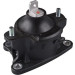 Tedgum | Lagerung, Motor | TED99372