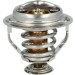725209 Thermostat, Kühlmittel EASY FIT
