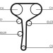 ContiTech | Zahnriemen | CT977 ContiTech | Zahnriemen | CT977