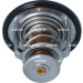 NRF | Thermostat, Kühlmittel | 725248