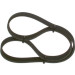 1 987 948 486 Keilrippenriemen
