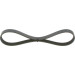 1 987 946 141 Keilrippenriemen Elastic