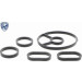 V25-60-0025 Ölkühler, Motoröl EXPERT KITS + V25-60-0025 Ölkühler, Motoröl EXPERT KITS +