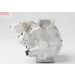 DENSO TSE17C Klimakompressor DCP50101 DENSO TSE17C Klimakompressor DCP50101