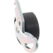 SKF | Spannrolle, Keilrippenriemen | VKM 36052 SKF | Spannrolle, Keilrippenriemen | VKM 36052