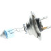 BOSCH | Glühlampe | 1 987 301 137 BOSCH | Glühlampe | 1 987 301 137