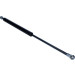 Maxgear | Gasfeder, Koffer-/Laderaum | 12-0120 Maxgear | Gasfeder, Koffer-/Laderaum | 12-0120