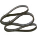 1 987 947 956 Keilrippenriemen