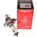Maxgear | Glühlampe, Fernscheinwerfer | 78-0051