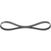 1 987 946 125 Keilrippenriemen Elastic