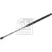 FEBI BILSTEIN 185497 Gasfeder, Koffer-/Laderaum
