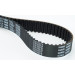 CT1008 Zahnriemen