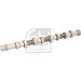 FEBI BILSTEIN 185006 Nockenwelle FEBI BILSTEIN 185006 Nockenwelle