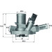 Mahle | Thermostat, Kühlmittel | TI 147 80 Mahle | Thermostat, Kühlmittel | TI 147 80