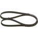 1 987 948 494 Keilrippenriemen