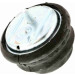 Vaico | Lagerung, Motor | V20-1037-1