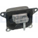 Delphi | Lagerung, Motor | TEM053 Delphi | Lagerung, Motor | TEM053