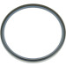 01019888B Wellendichtring, Radnabe