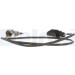 Delphi | Sensor, Abgastemperatur | TS30020 Delphi | Sensor, Abgastemperatur | TS30020