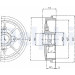 Delphi | Bremstrommel | BF392 Delphi | Bremstrommel | BF392
