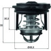 TI 246 50 Thermostat, Kühlmittel BEHR