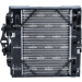NRF | Kühler, Motorkühlung | 550288