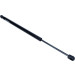 Maxgear | Gasfeder, Koffer-/Laderaum | 12-0350