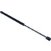 Maxgear | Gasfeder, Koffer-/Laderaum | 12-0084 Maxgear | Gasfeder, Koffer-/Laderaum | 12-0084