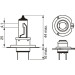 BOSCH | Glühlampe, Fernscheinwerfer | 1 987 302 079 BOSCH | Glühlampe, Fernscheinwerfer | 1 987 302 079