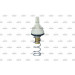 NRF | Thermostat, Kühlmittel | 725085 NRF | Thermostat, Kühlmittel | 725085