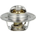 NRF | Thermostat, Kühlmittel | 725135