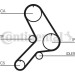 ContiTech | Zahnriemen | CT613 ContiTech | Zahnriemen | CT613