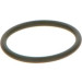 F 00V C38 042 Gummiring