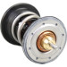 Metzger | Thermostat, Kühlmittel | 4006363 Metzger | Thermostat, Kühlmittel | 4006363