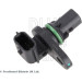 Blue Print | Sensor, Nockenwellenposition | ADBP720028 Blue Print | Sensor, Nockenwellenposition | ADBP720028