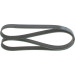 1 987 947 056 Keilrippenriemen
