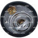 NRF | Thermostat, Kühlmittel | 725285