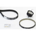 CT1189K2PRO Zahnriemensatz