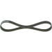 1 987 946 034 Keilrippenriemen