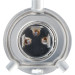 BOSCH | Glühlampe | 1 987 302 742 BOSCH | Glühlampe | 1 987 302 742