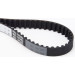 CT988 Zahnriemen