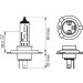 BOSCH | Glühlampe, Fernscheinwerfer | 1 987 302 045 BOSCH | Glühlampe, Fernscheinwerfer | 1 987 302 045