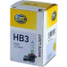 Hella | Glühlampe, Nebelscheinwerfer | 8GH 223 498-161 Hella | Glühlampe, Nebelscheinwerfer | 8GH 223 498-161