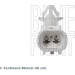 Blue Print | Sensor, Raddrehzahl | ADBP710068 Blue Print | Sensor, Raddrehzahl | ADBP710068